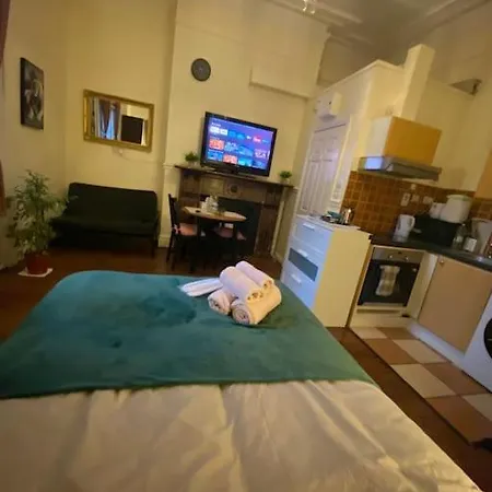 Lejlighed Spacious Victorian Flat Dublin